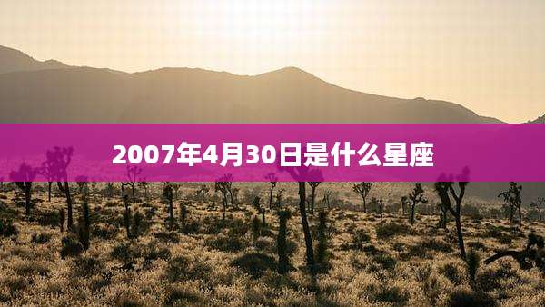 2007年4月30日是什么星座