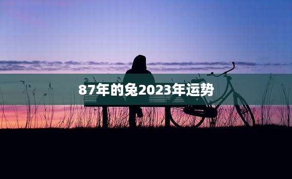 87年的兔2023年运势