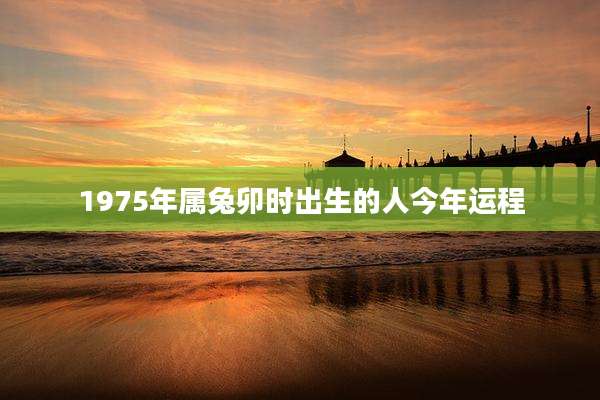 1975年属兔卯时出生的人今年运程