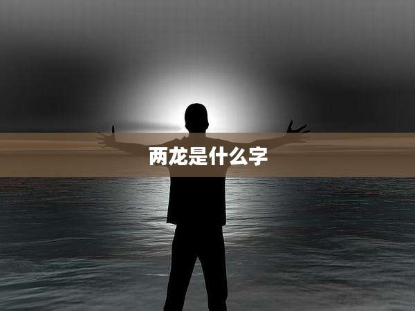 两龙是什么字