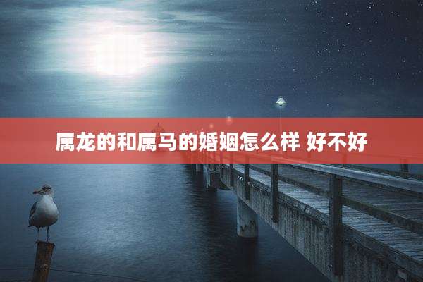 属龙的和属马的婚姻怎么样 好不好