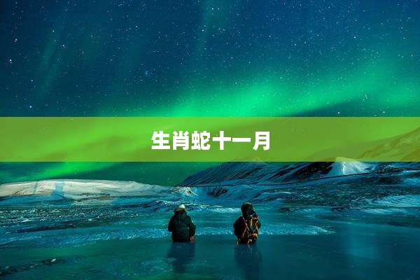 生肖蛇十一月