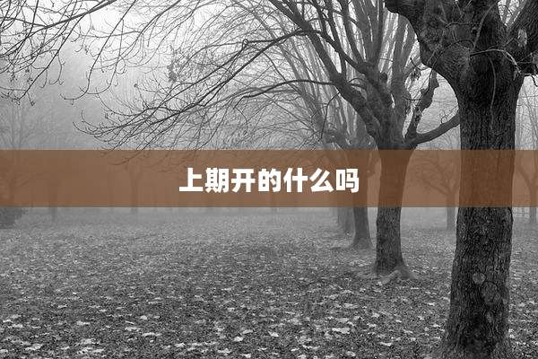 上期开的什么吗