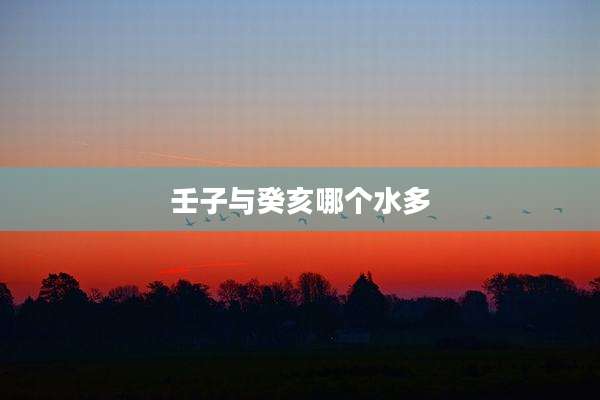 壬子与癸亥哪个水多