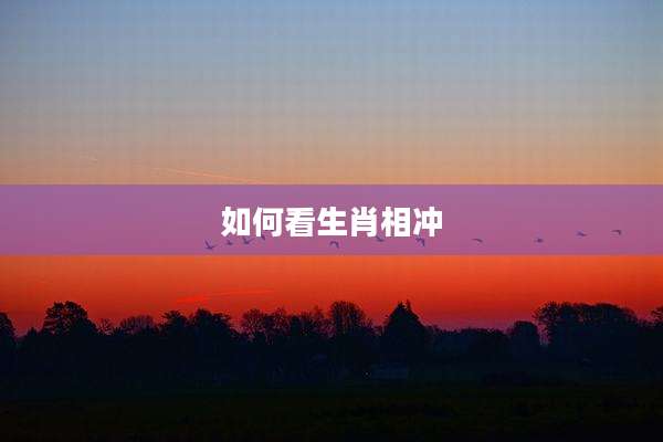 如何看生肖相冲