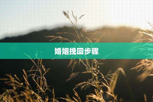 婚姻挽回步骤