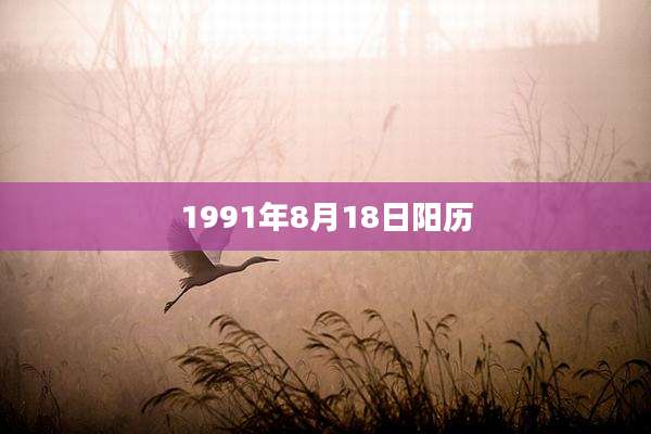 1991年8月18日阳历