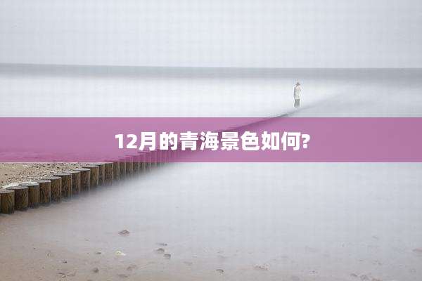 12月的青海景色如何?