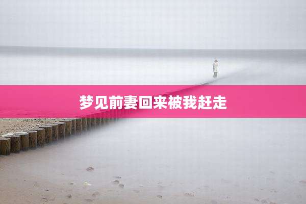 梦见前妻回来被我赶走