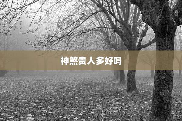 神煞贵人多好吗