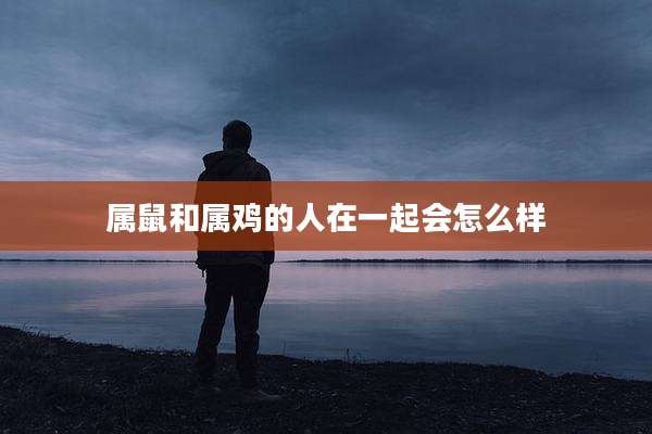 属鼠和属鸡的人在一起会怎么样