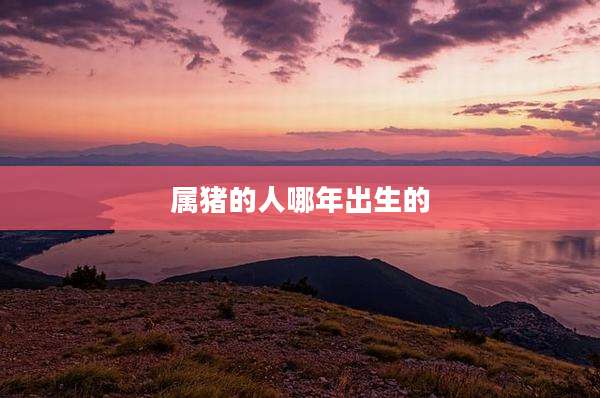 属猪的人哪年出生的