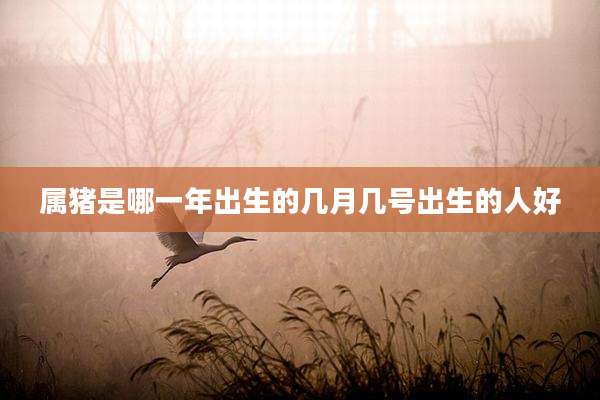 属猪是哪一年出生的几月几号出生的人好