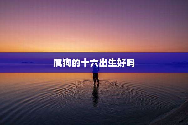 属狗的十六出生好吗