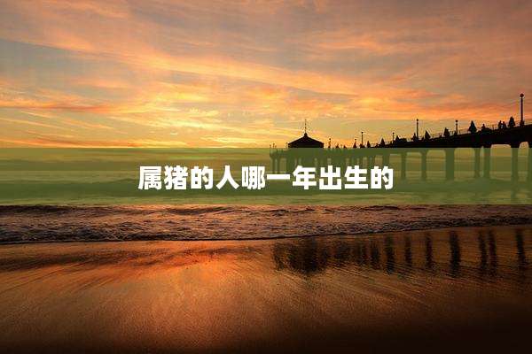 属猪的人哪一年出生的