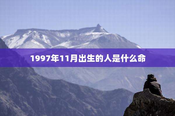 1997年11月出生的人是什么命