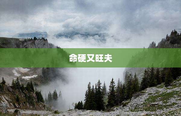 命硬又旺夫