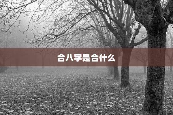 合八字是合什么