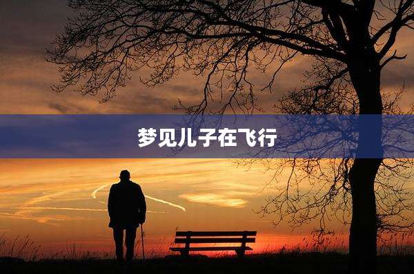 梦见儿子在飞行