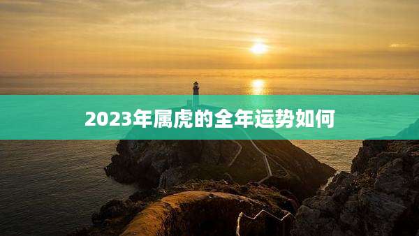 2023年属虎的全年运势如何