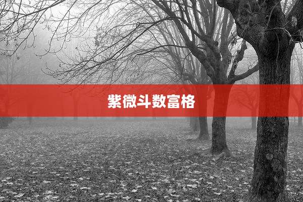 紫微斗数富格