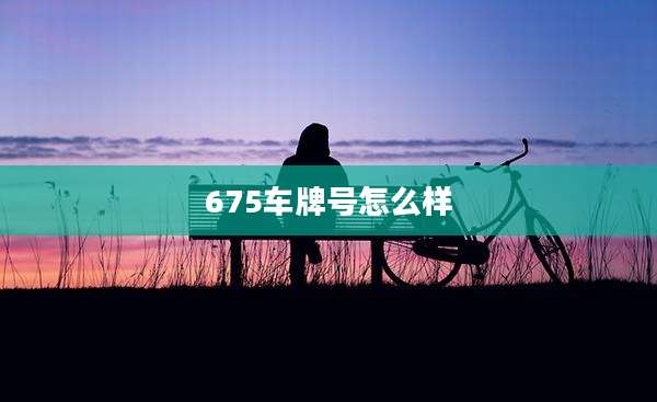 675车牌号怎么样