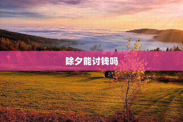 除夕能讨钱吗