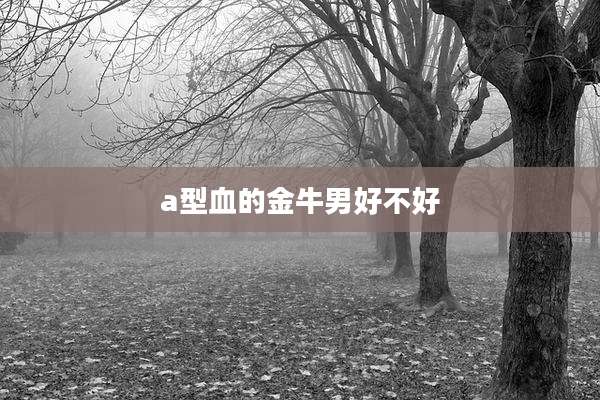 a型血的金牛男好不好