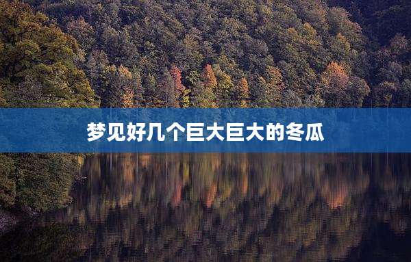 梦见好几个巨大巨大的冬瓜