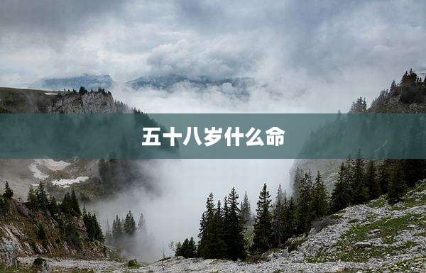 五十八岁什么命