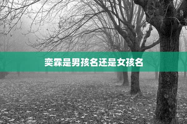 奕霖是男孩名还是女孩名