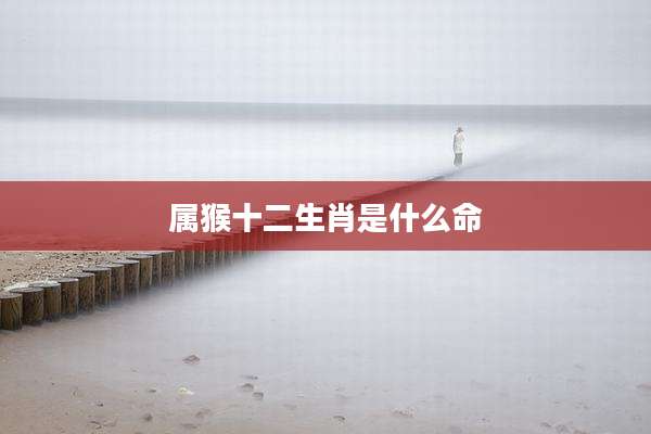 属猴十二生肖是什么命