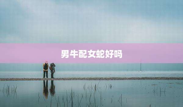 男牛配女蛇好吗