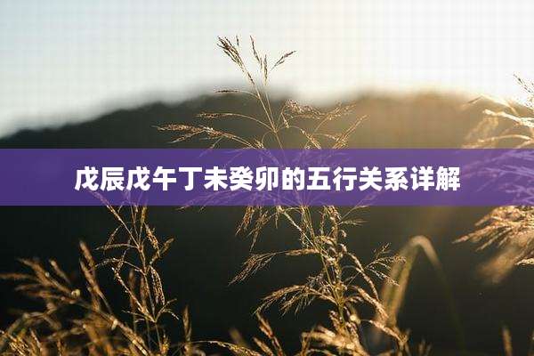 戊辰戊午丁未癸卯的五行关系详解