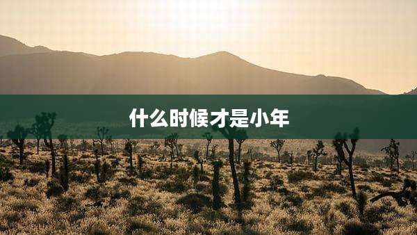 什么时候才是小年