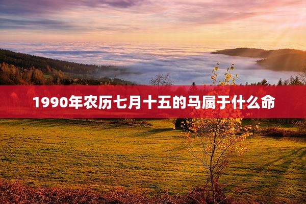1990年农历七月十五的马属于什么命