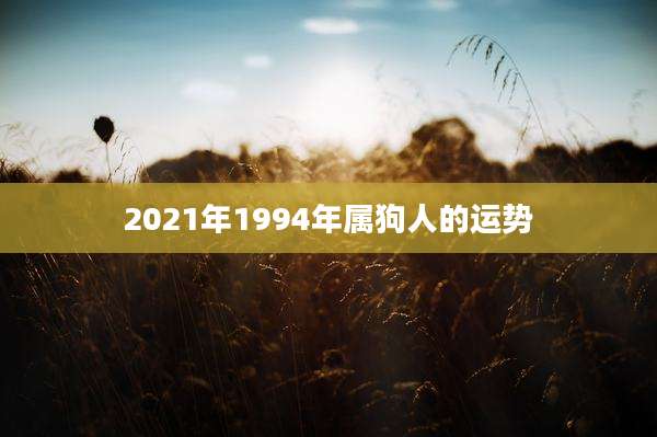 2021年1994年属狗人的运势