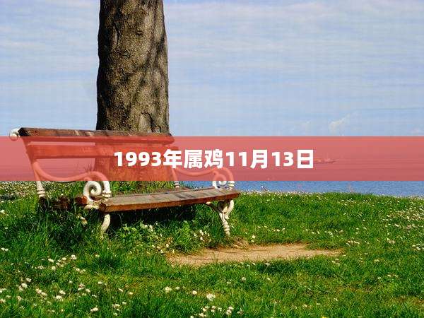 1993年属鸡11月13日