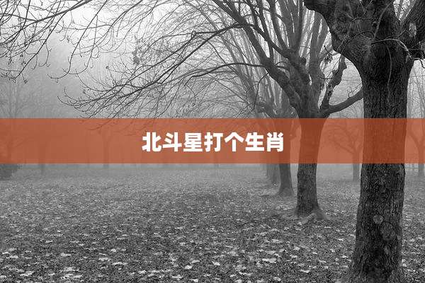 北斗星打个生肖