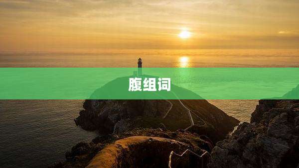 腹组词