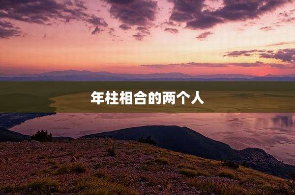 年柱相合的两个人