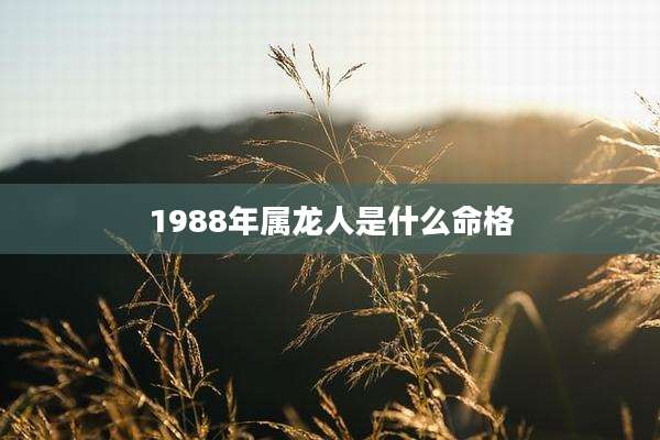 1988年属龙人是什么命格