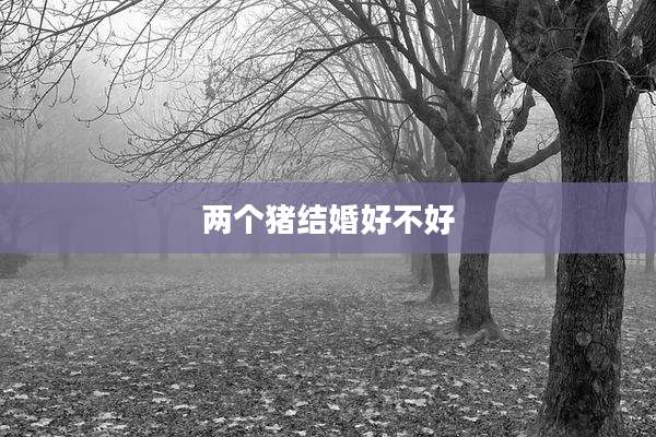 两个猪结婚好不好