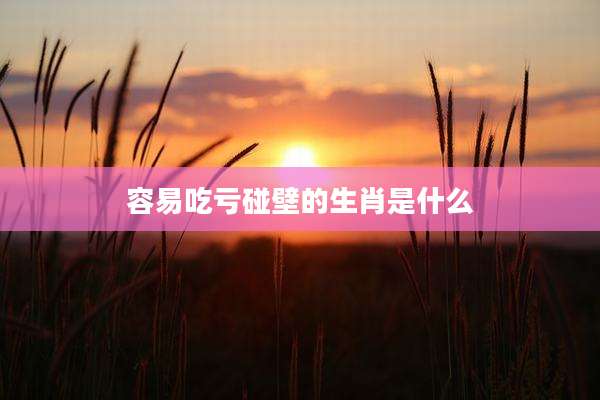 容易吃亏碰壁的生肖是什么