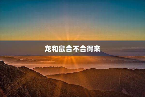 龙和鼠合不合得来