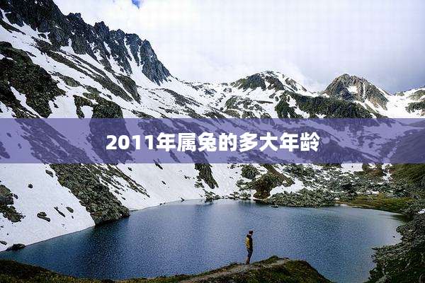 2011年属兔的多大年龄