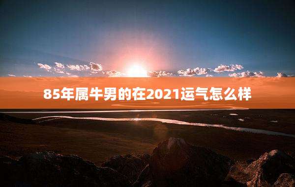 85年属牛男的在2021运气怎么样