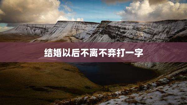 结婚以后不离不弃打一字