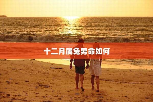 十二月属兔男命如何