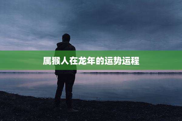 属猴人在龙年的运势运程